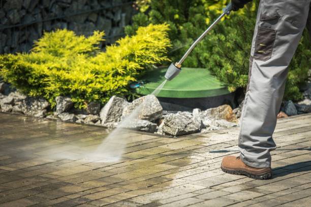 Best Window and Screen Pressure Cleaning in Greensboro, MD