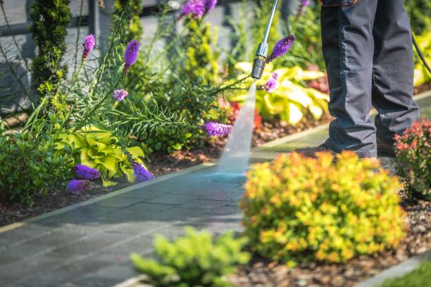 Best Brick and Stone Cleaning in Greensboro, MD